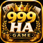 999HA Game