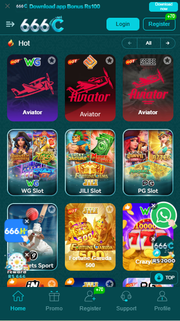 C666 Game