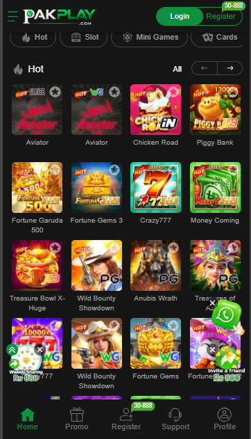 Pakplay Game
